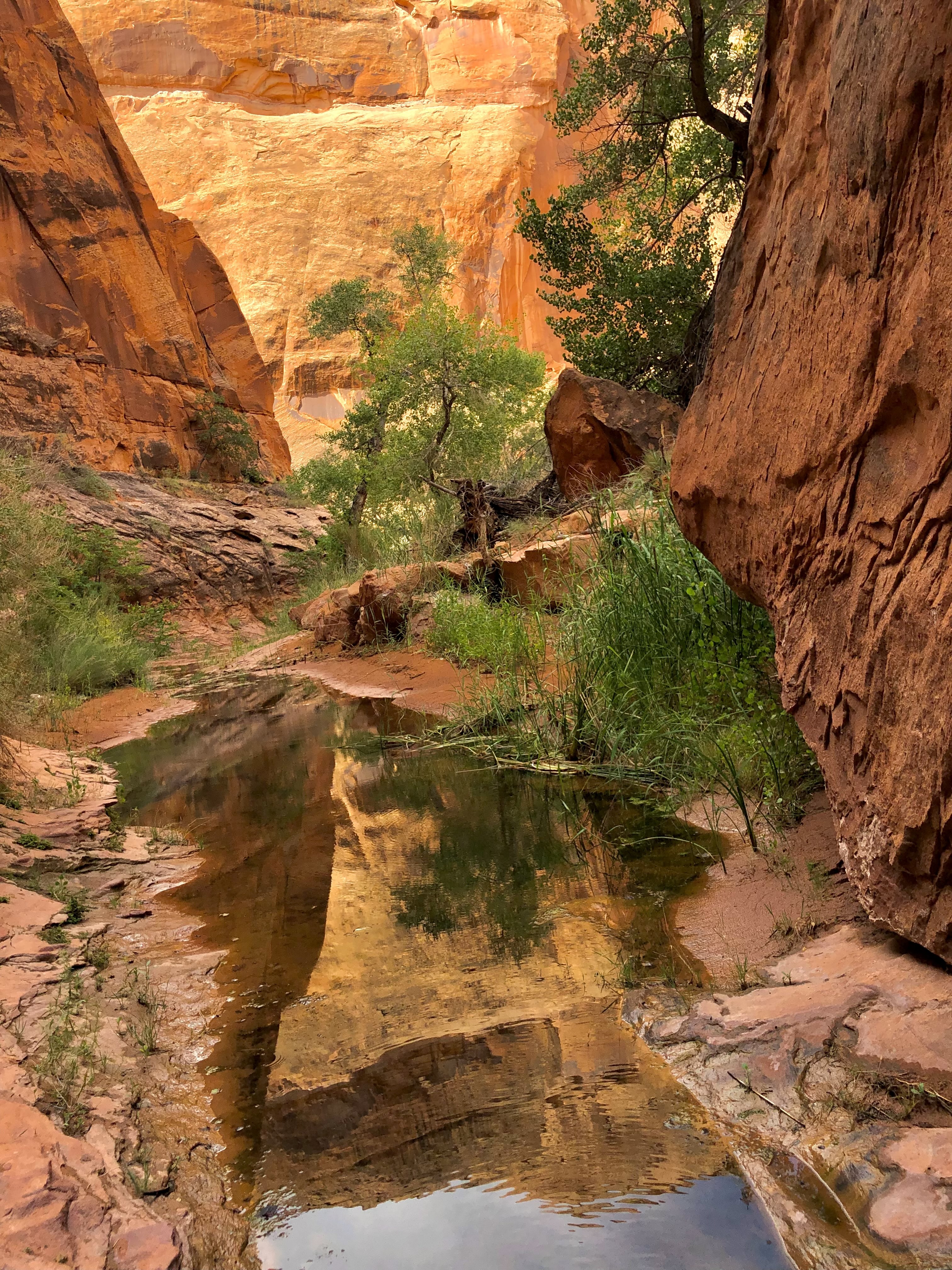 Desert national park trail