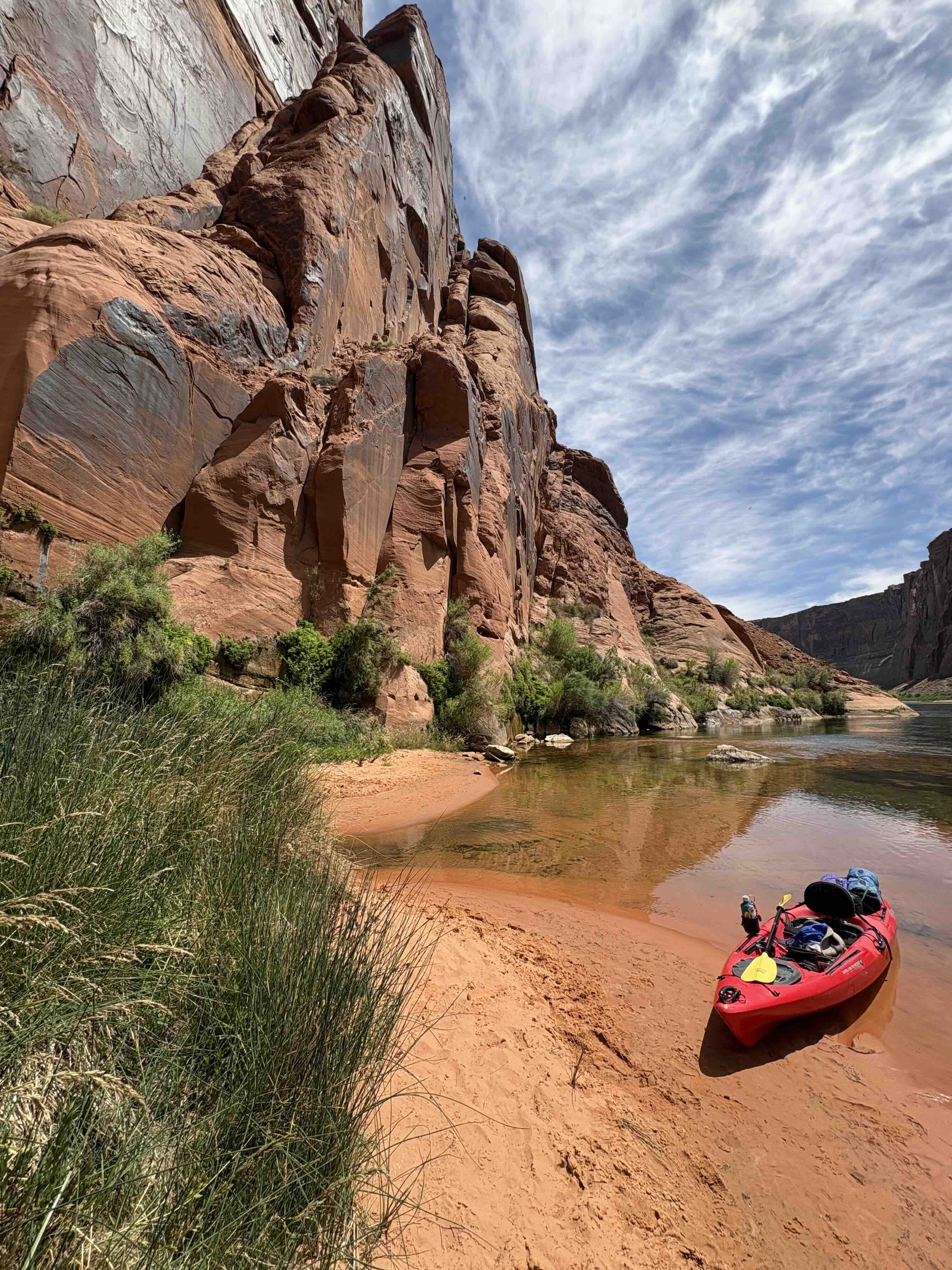 Desert shrubs and sandstone cliffs